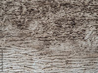 image to crop