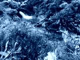 preview cold