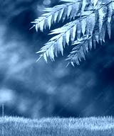 preview cold