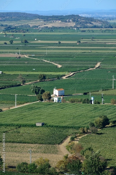 image to crop
