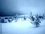 preview cold