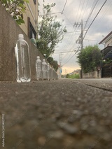 preview original