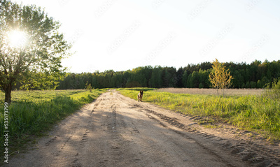 image to crop