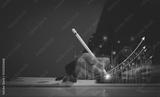 preview bw
