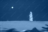 preview cold