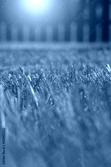 preview cold