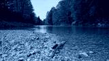 preview cold