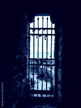 preview cold