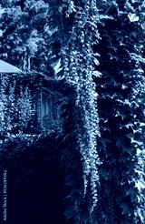 preview cold