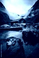 preview cold