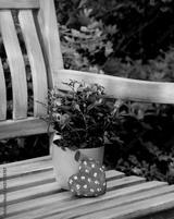 preview bw