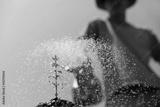 preview bw