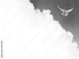 preview bw