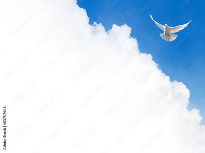image to crop