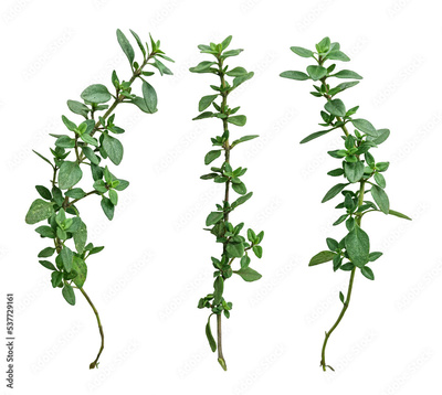 image to crop