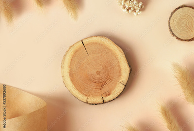 image to crop