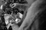 preview bw