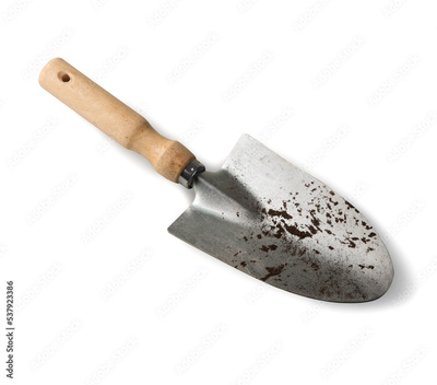 image to crop