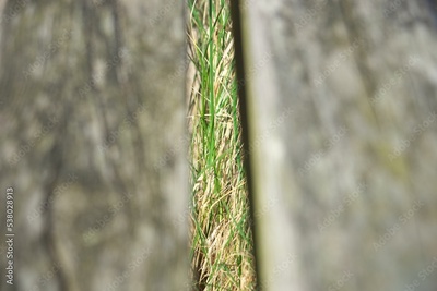 image to crop