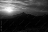 preview bw