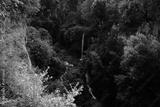 preview bw