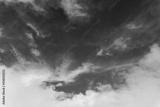 preview bw