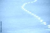 preview cold