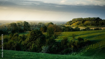 image to crop