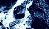 preview cold