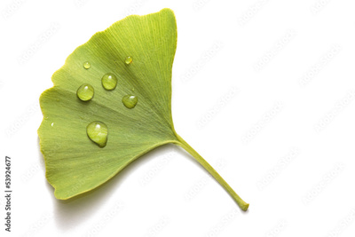 image to crop