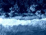 preview cold