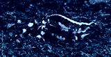 preview cold