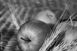 preview bw