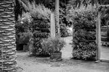 preview bw