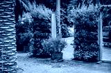 preview cold