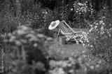 preview bw