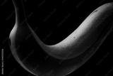 preview bw