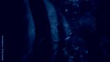 preview cold