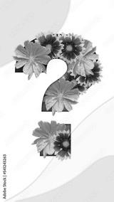 preview bw
