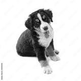 preview bw