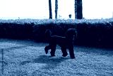 preview cold