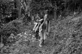preview bw