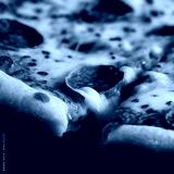 preview cold