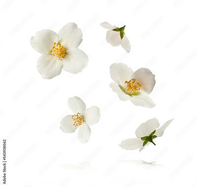image to crop