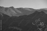 preview bw