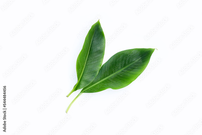image to crop