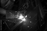 preview bw