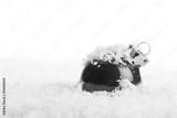 preview bw