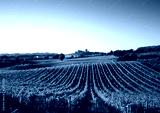 preview cold