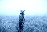 preview cold